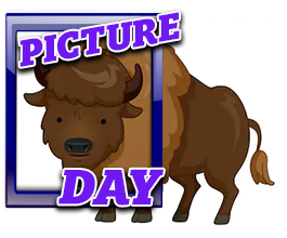 Picture Day with buffalo